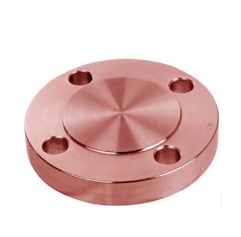 Copper nickel blind flange with raised face and bolt circle